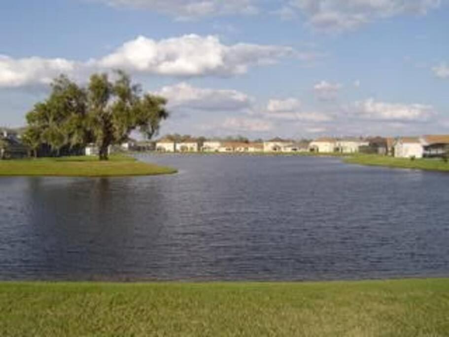 Gone 2 Florida Vacation Homes Four Corners Værelse billede